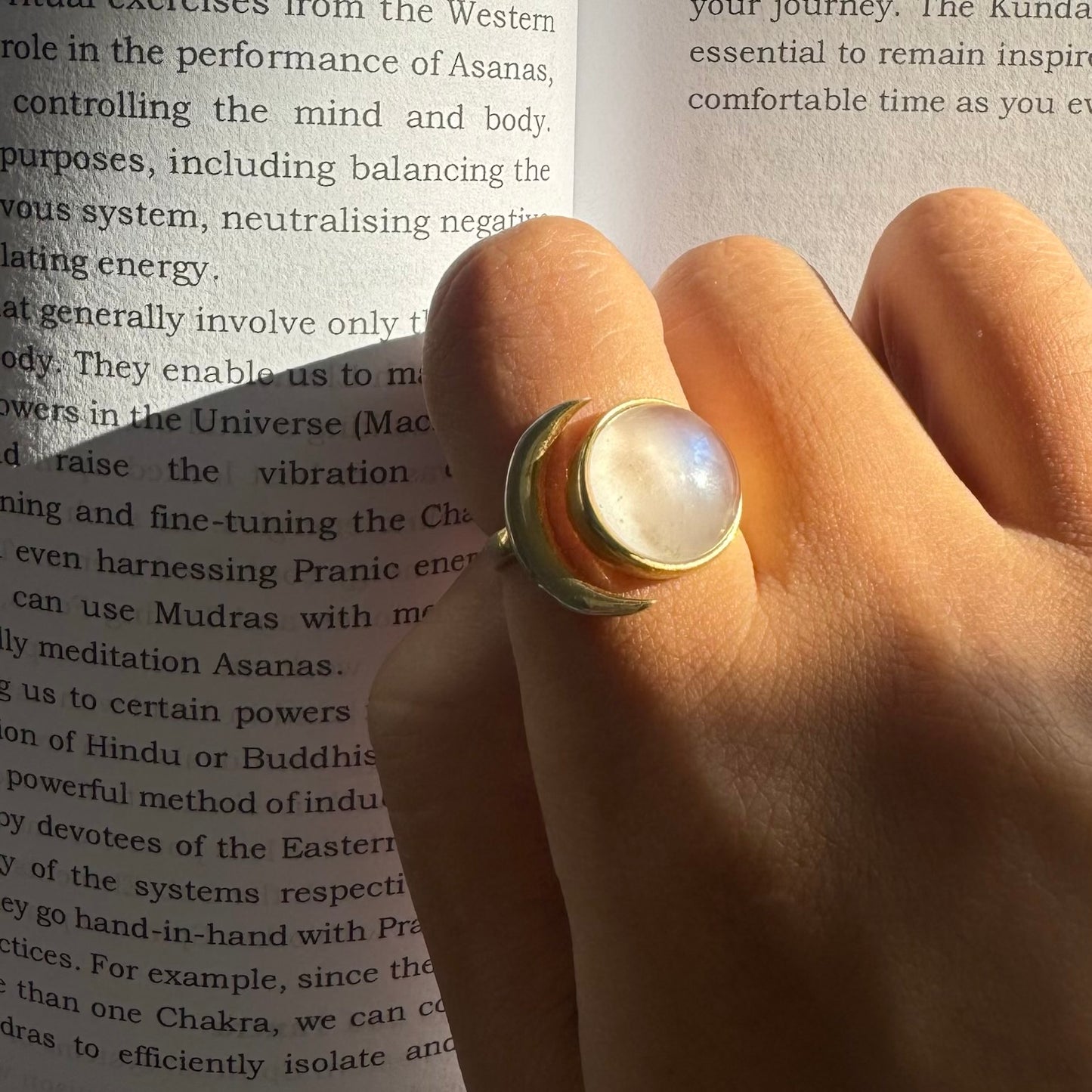 Hand wearing gold moon and round moonstone ring over open book text in natural sunlight